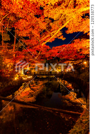 岩道公園的秋葉被照亮，溪流潺潺倒影 120538773