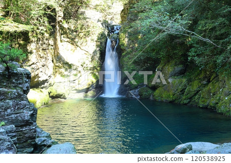 仁淀藍 / [高知縣伊野町] 120538925