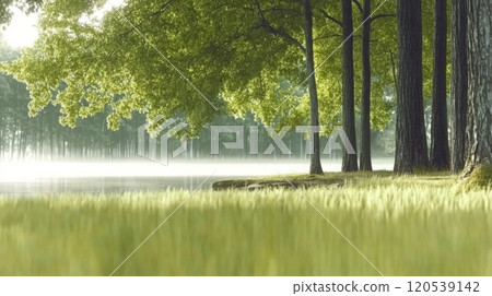 idyllic lakeshore with sunlight falling through mossy trees onto the soft grass idyllic lakeshore with sunlight falling through mossy trees onto the soft grass 120539142