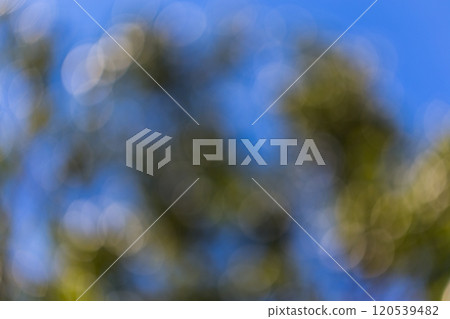 blurred nature background with blue sky 120539482