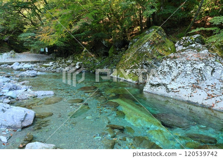 安井溪谷(仁澱藍)/【高知縣仁澱川町】 安井溪谷(仁澱藍)/【高知縣仁澱川町】 120539742
