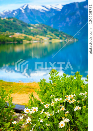 Mountains and fjord in Norway, 120539781