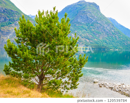 Mountains and lake in Norway, 120539784