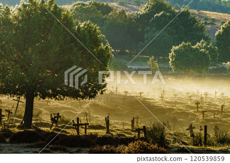 Haze in morning over Sad Hill Cemetery in Burgos, Spain Haze in morning over Sad Hill Cemetery in Burgos, Spain 120539859