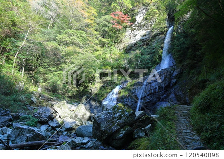 Yasui Valley "Hiryu Falls" (Niyodo Blue) / [Niyodogawa Town, Kochi Prefecture] 120540098