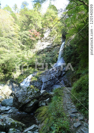 Yasui Valley "Hiryu Falls" (Niyodo Blue) / [Niyodogawa Town, Kochi Prefecture] 120540099