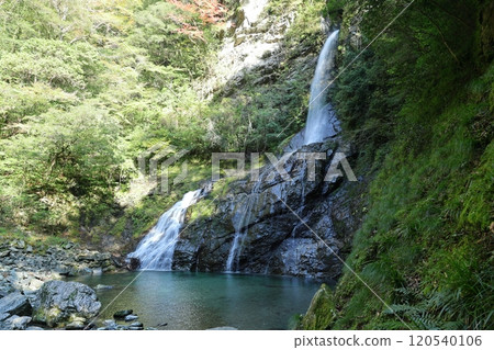 Yasui Valley "Hiryu Falls" (Niyodo Blue) / [Niyodogawa Town, Kochi Prefecture] 120540106