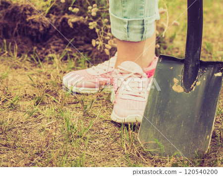 Woman digging hole in garden 120540200