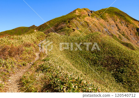 The trail leading to Mt. Mokura in the Tanigawa mountain range in late autumn (Mokura Shindo) 120540712