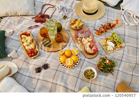 Food spread displayed on checkered blanket, featuring fruits, salad, snacks, and drinks, with picnic accessories visible in background capturing essence of outdoor dining 120540957