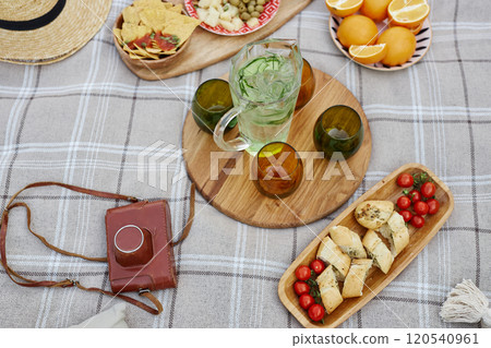 Overhead view of a picnic spread featuring a variety of snacks, a jug of mint water, and sliced fruits arranged on a plaid blanket, with a brown camera bag present 120540961