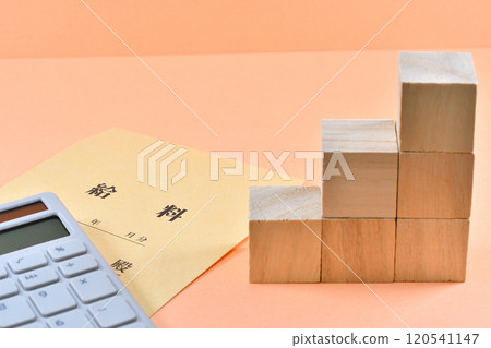 Annual income and tax picture 120541147