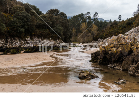 Beach of Guadamia in Asturias 120541185