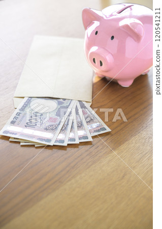 Pig money box and banknotes in an envelope (new banknotes) 120541211
