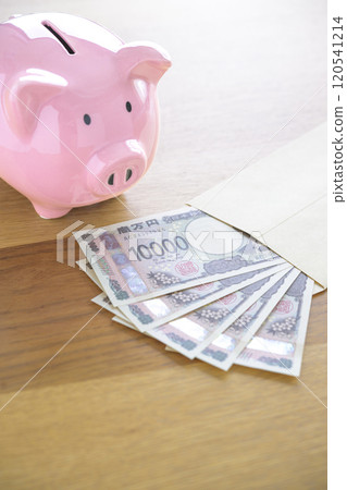Pig money box and banknotes in an envelope (new banknotes) 120541214