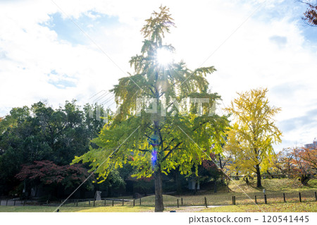 Beautiful autumn scenery at Korakuen in Okayama city, Okayama prefecture, Japan Beautiful autumn scenery at Korakuen in Okayama city, Okayama prefecture, Japan 120541445