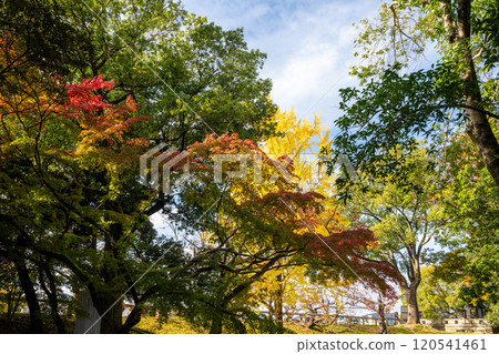 日本岡山縣岡山市後樂園美麗的秋景 120541461