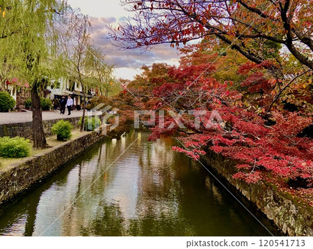秋天的樹葉和水道景觀 秋天的樹葉和水道景觀 120541713
