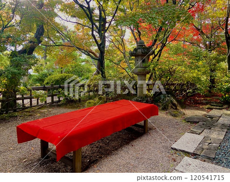 紅色的椅子和秋天的落葉 紅色的椅子和秋天的落葉 120541715