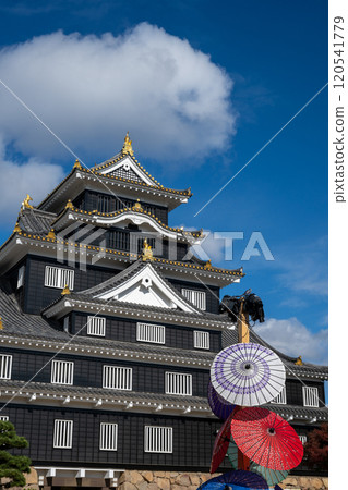 日本岡山縣岡山市岡山城美麗的秋景 120541779