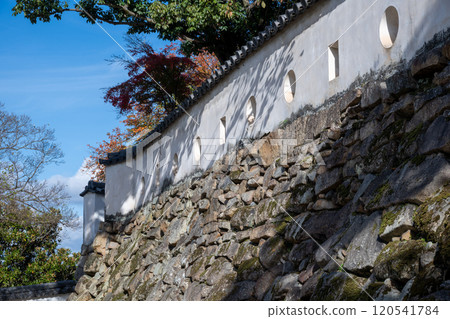 Beautiful autumn scenery of Okayama Castle in Okayama city, Okayama prefecture, Japan 120541784