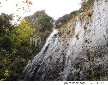 Senjo Falls (Metaki) 120541798