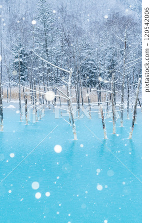 【美瑛的銀色世界】半結冰的藍色池塘 120542006