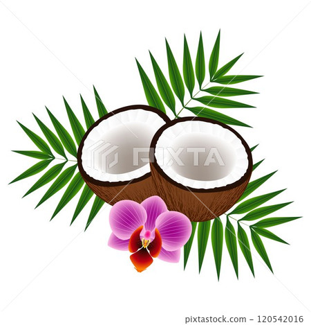 Coconuts with leaves and orchid on white background. Coconuts with leaves and orchid on white background. 120542016
