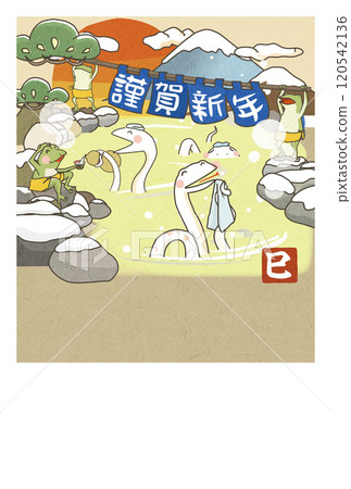 新年賀卡2025蛇年明信片模板蛇和青蛙享受溫泉的插圖 120542136