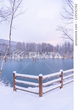 Winter in Biei: A quiet blue pond with no footprints Winter in Biei: A quiet blue pond with no footprints 120542382
