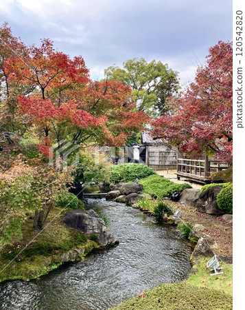 Kokoen Garden in Autumn, Himeji City Kokoen Garden in Autumn, Himeji City 120542820