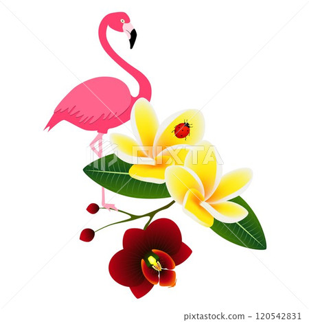 Pink flamingo with frangipani (Plumeria) with orchid flower and a ladybug on white background. 120542831