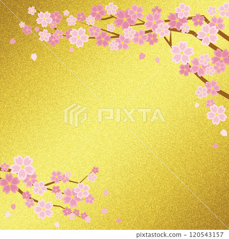 櫻花背景和金色屏風(仿古金)方形 櫻花背景和金色屏風(仿古金)方形 120543157