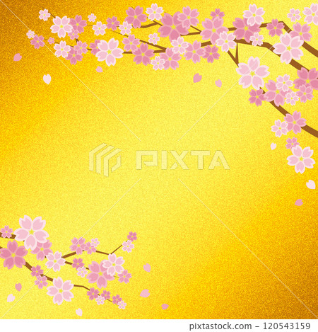 櫻花背景和金色屏風（黃金）方形 120543159