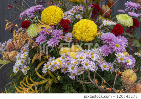 Colorful fall flower arrangements 120543173