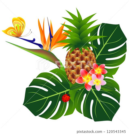 Tropical bouquet on white background. 120543345