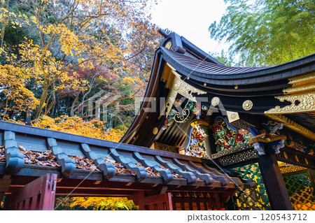 瑞鳳殿被秋葉照亮 120543712