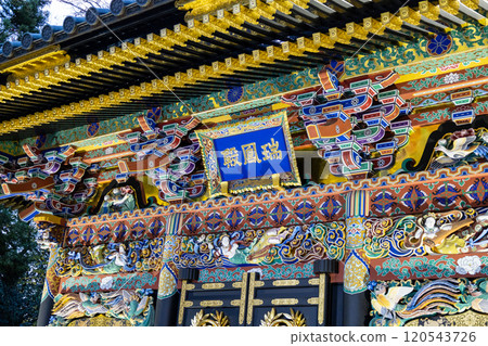 瑞鳳殿被秋葉照亮 120543726