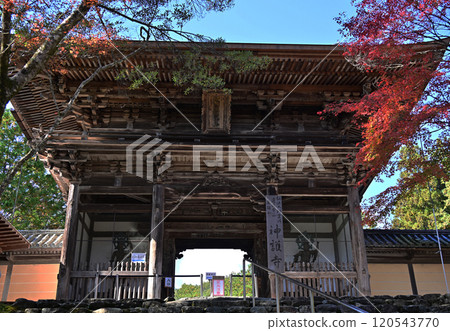 京都 高尾神護寺 120543770