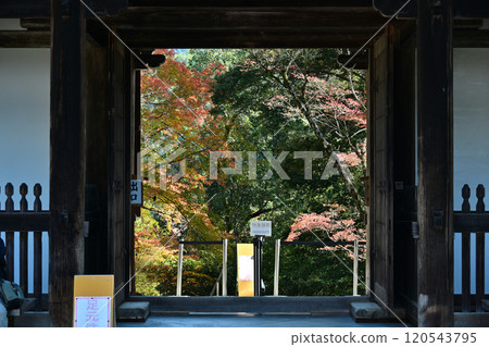 Jingoji Temple, Takao, Kyoto Jingoji Temple, Takao, Kyoto 120543795