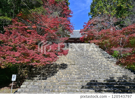 Jingoji Temple, Takao, Kyoto Jingoji Temple, Takao, Kyoto 120543797