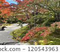 Garden with autumn leaves 120543963