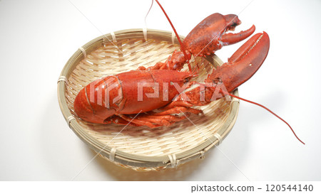 Fresh boiled lobster Fresh boiled lobster 120544140