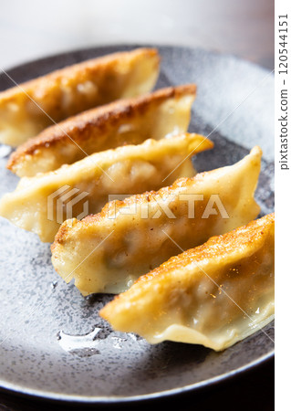 Delicious fried gyoza 120544151