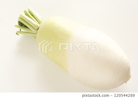 厚蘿蔔 厚蘿蔔 120544289