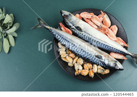 Fresh frozen mackerel. 120544465