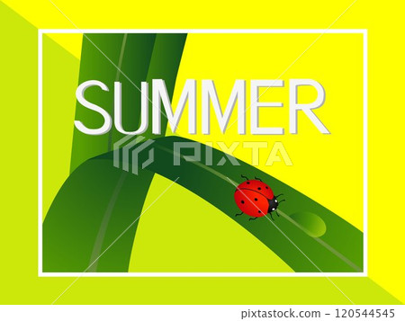 Summer banner, ladybug on a green leaf with a drop of water. Summer banner, ladybug on a green leaf with a drop of water. 120544545