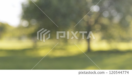 Outdoor blurred background of aplle garden on a summer day 120544774