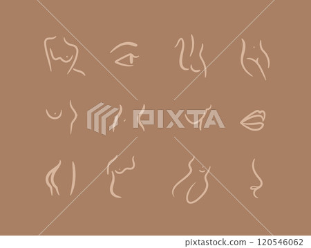 Body parts linear art style brown 120546062