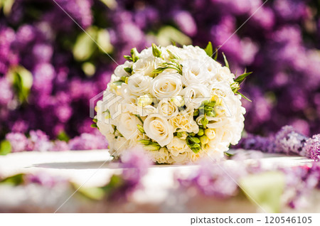 Young woman holding wedding bouquet and veil at New River Beach in Canada 120546105
